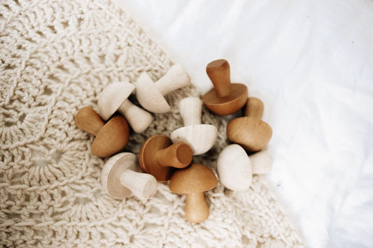 Wooden Mushrom Set