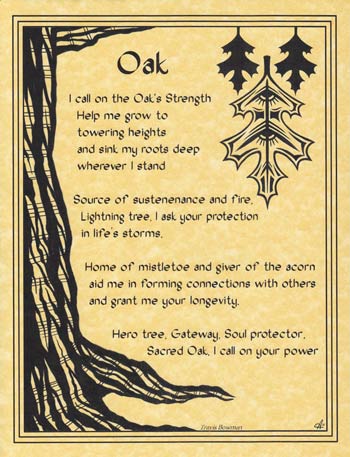 Earth Magic Oak Tree Spirit poster